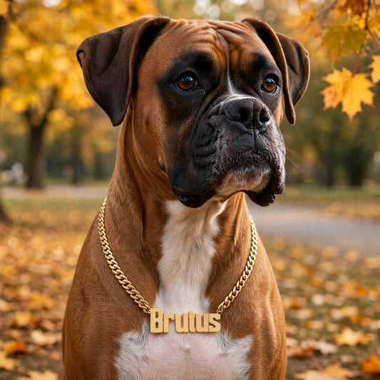Custom Pet BLOCK Name Necklace