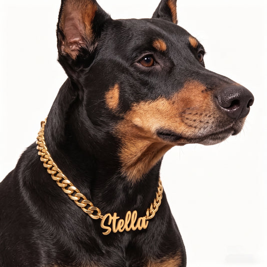 Custom Pet SCRIPT Name Necklace