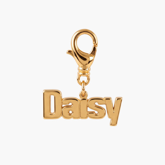 Script Name Pet Clip