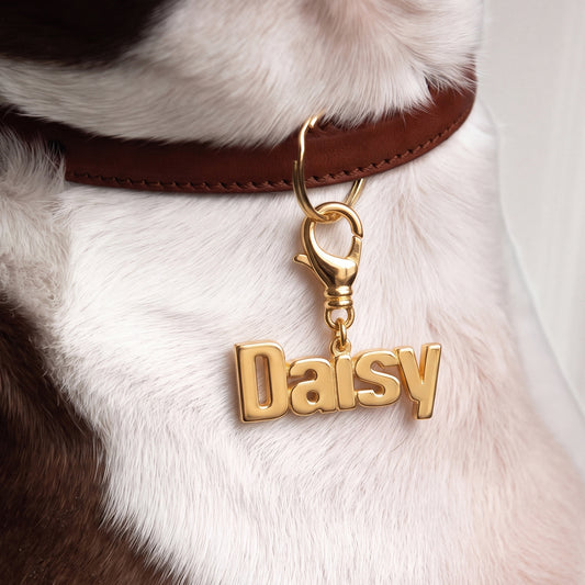 Custom Clip on Names for Pets (Block Font)